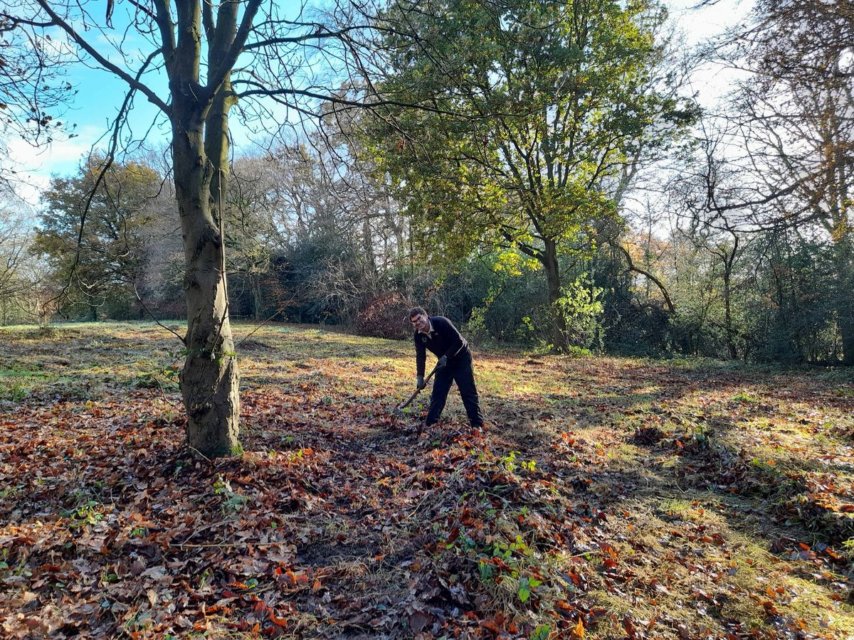 Volunteer day at Rossmill