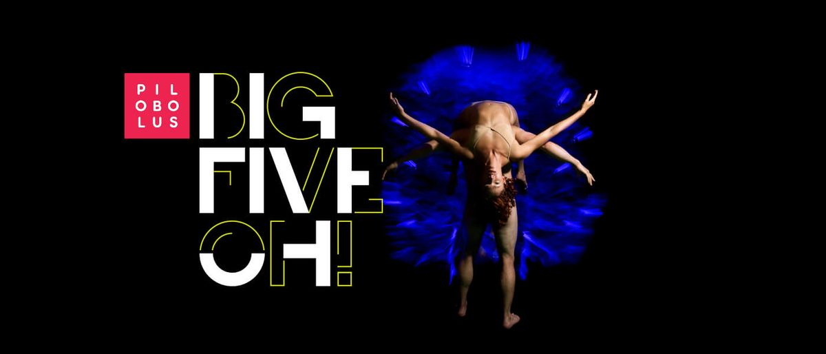 The Big Five Oh at The Mansfield Playhouse