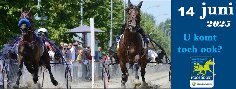 Kortebaandraverij Hoofddorp