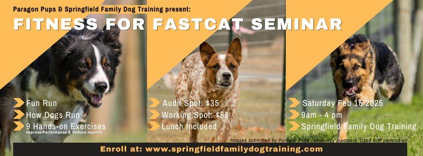 Fitness for FastCAT Seminar