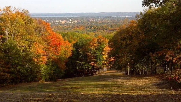 Hickory Meadows and Hickory Hill Hike