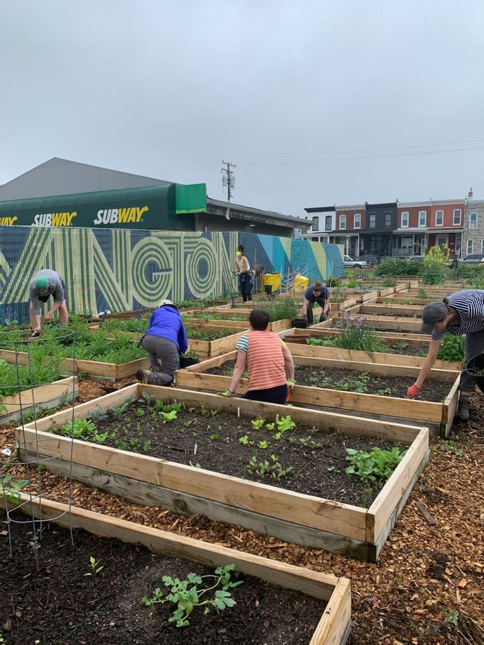 Sisson Street Park November Workday