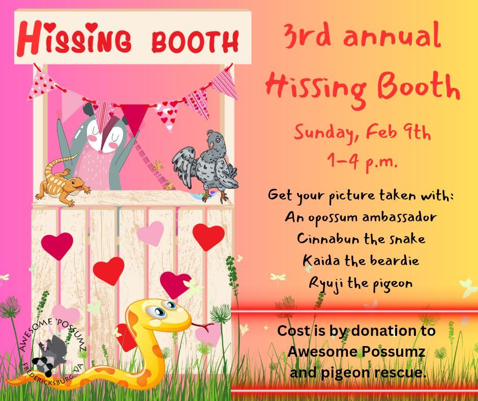 Hissing Booth Fundraiser for Awesome Possumz