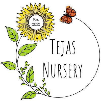 Tejas Nursery