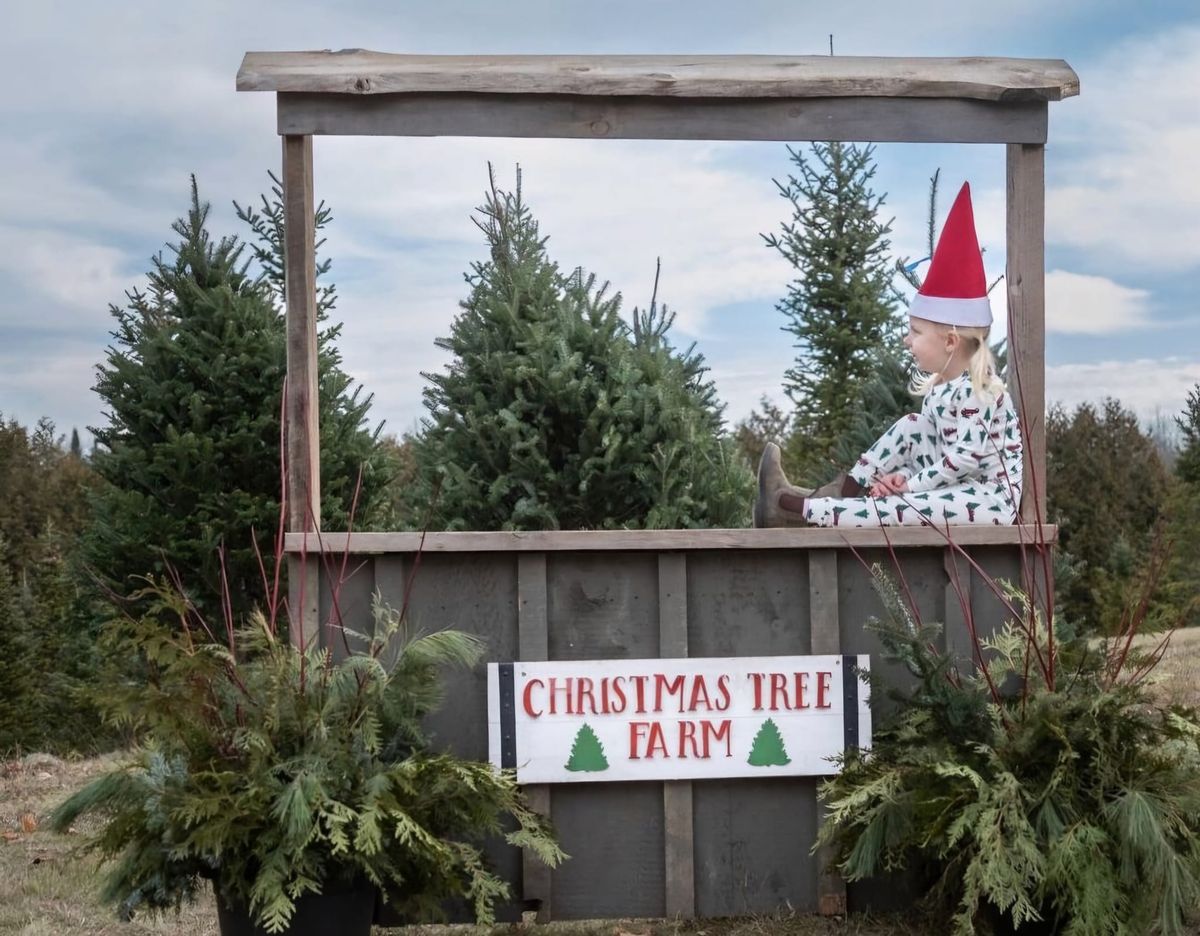 Christmas in the Country Experience 