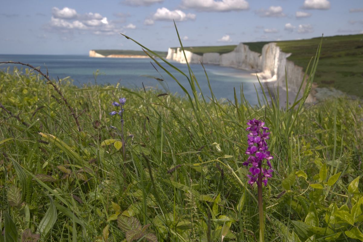 Squire, Parson and Shepherd - What life was like living on the Downs