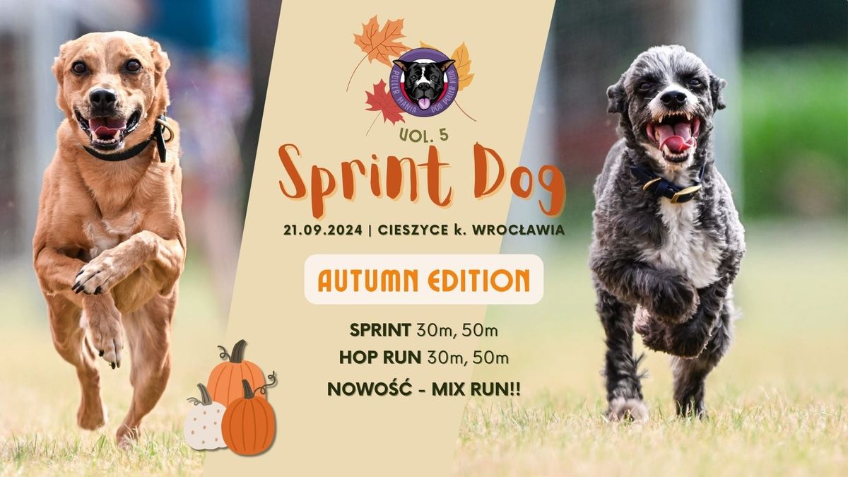 SPRINT DOG vol. 5 "Autumn Edition"