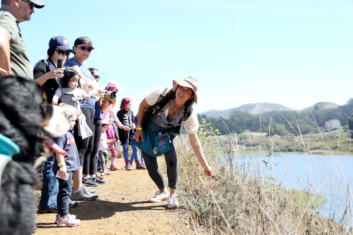 NatureBridge Marin Headlands Family Hikes