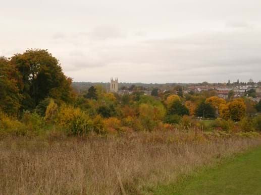 EVENING WALK - Moreton Hall and Natterer's Wood, Bury St Edmunds