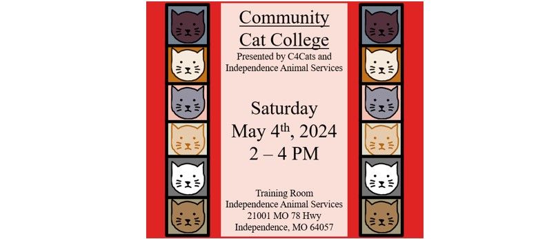Community Cat College