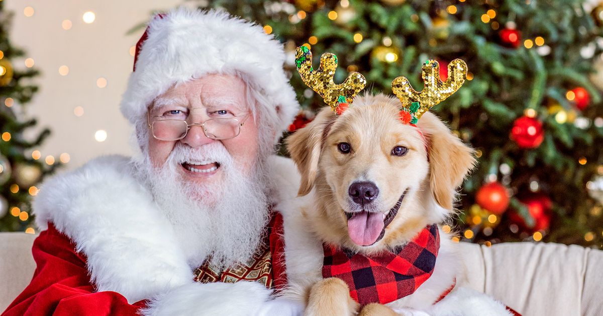 Pet Photos with Santa