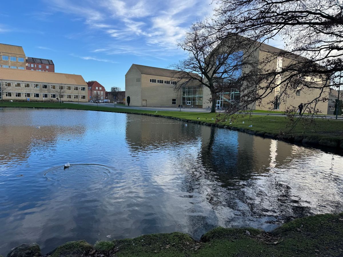 Rundvisninger i Uniparken