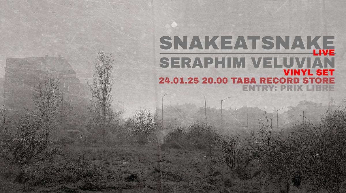 Snakeatsnake (live) + Seraphim Veluvian vinyl EBM\/coldwave\/post-punk set at TABA