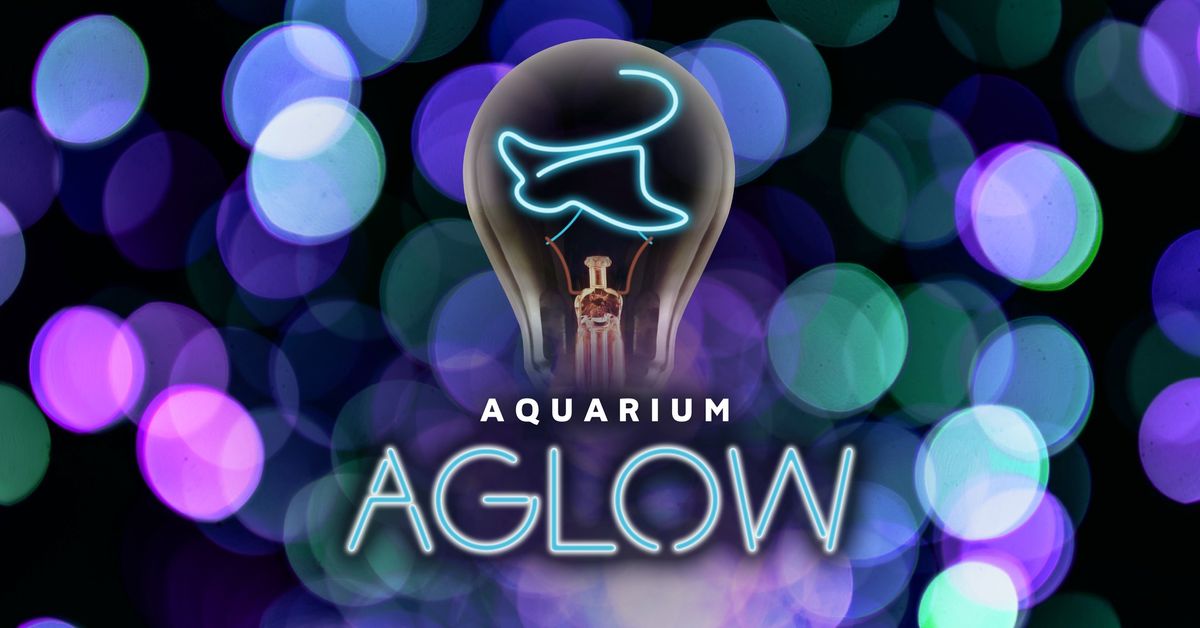 Aquarium Aglow