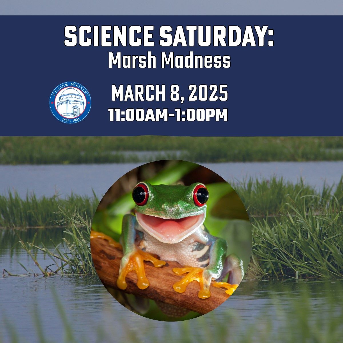 Science Saturday: Marsh Madness