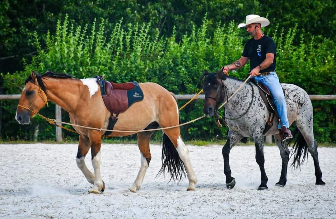 Stage avec Ludovic Fournet \u00e0 la ferme des Mille Pattes!