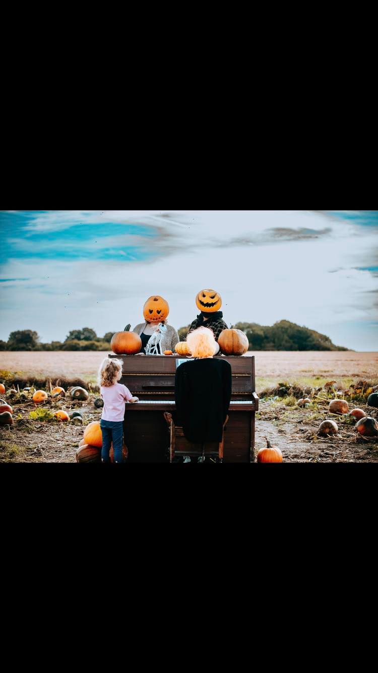 PYO PUMPKINS, Nr Bulford