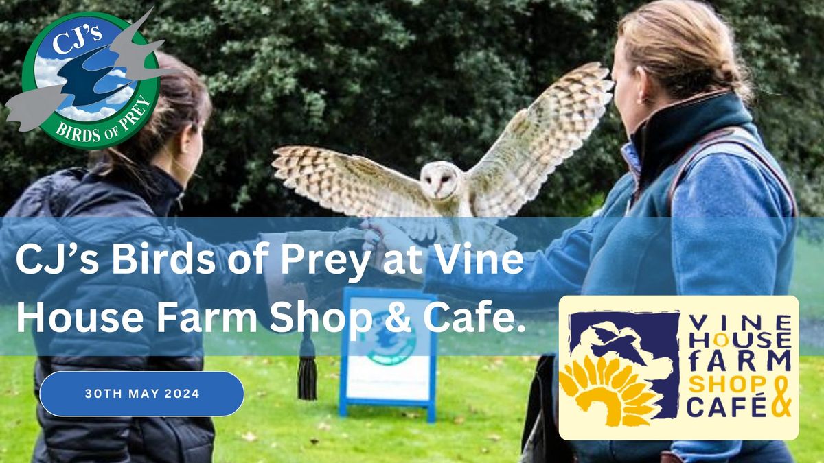 CJ's Birds of Prey at Vine House Farm 2024