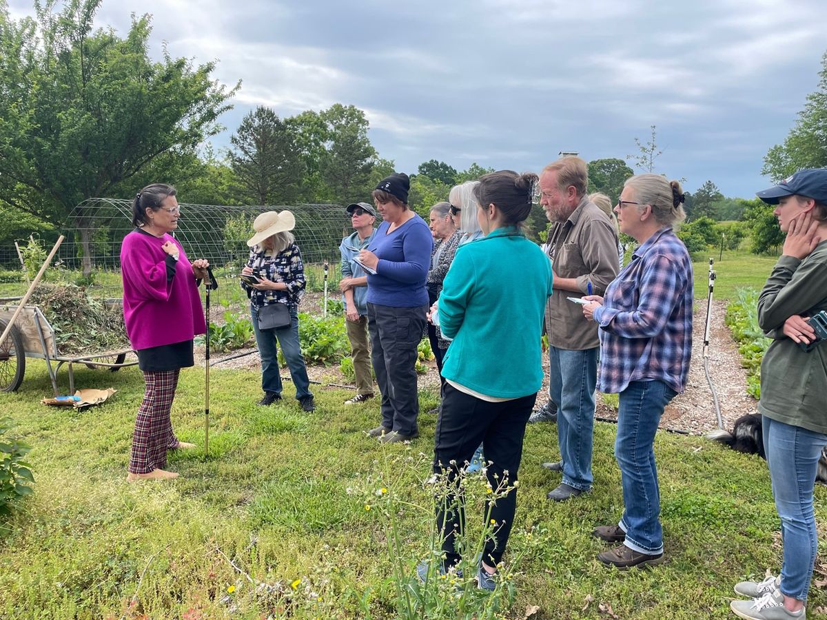 Spring Herbalism Plant Walk and Salves