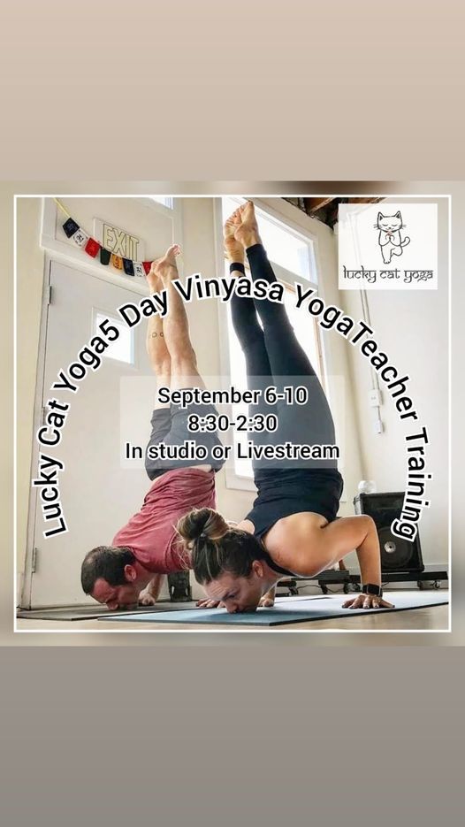 5 Day Vinyasa Yoga Teacher Training at Lucky Cat Yoga