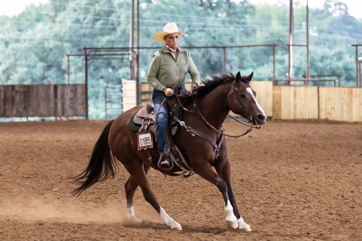 BEGINNER RANCH HORSE CLINIC 