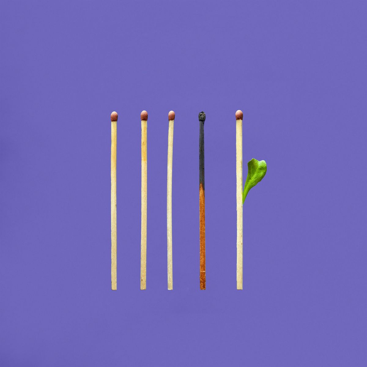 Healing Burnout Through Nature\u2019s Wisdom (In Person)