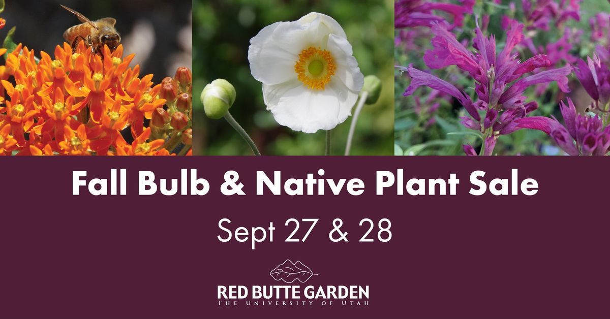 Fall Plant Sale