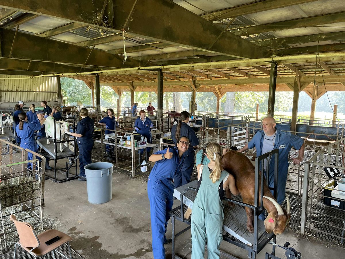 UMO-NC State Goat Artificial Insemination Short Course