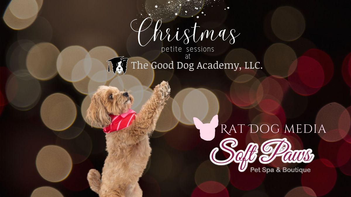 Christmas Petite Photo Sessions at The Good Dog Academy