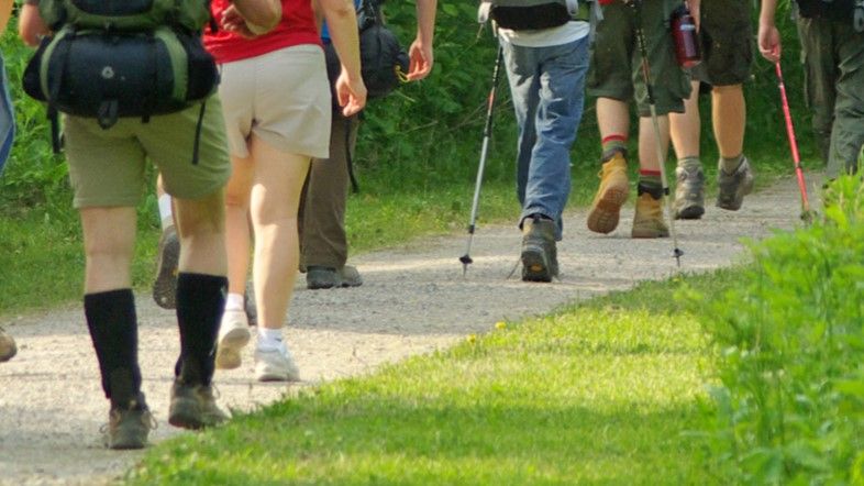 Metro Parks Hiking Club: First Friday Fitness Hike