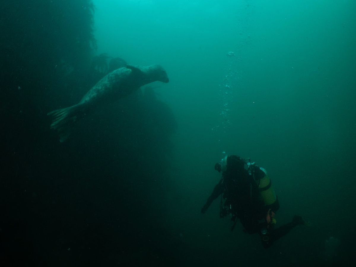 Oxford BSAC Lundy Expedition