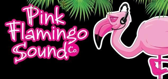 Live Music by Pink Flamingo Sound Company!