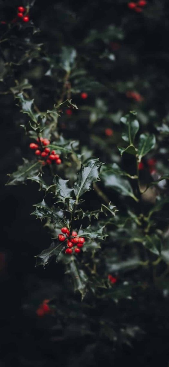 Winter Solstice Relaxation Sound Bath