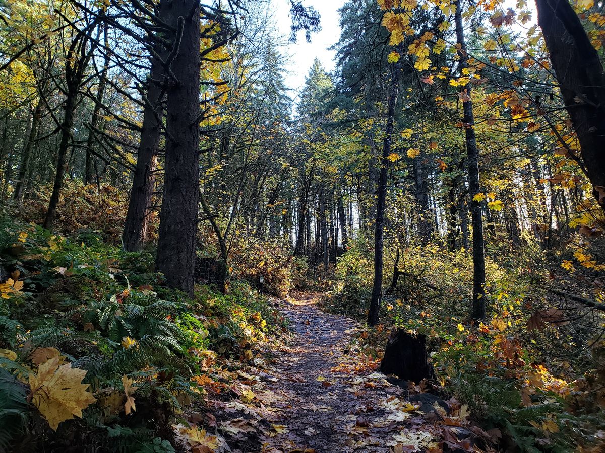 AUTUMN TRAILS EUGENE 16-Mile\/10-Mile\/6-Mile\/3.5-Mile