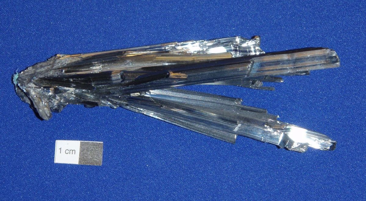 Parking The Ides of March