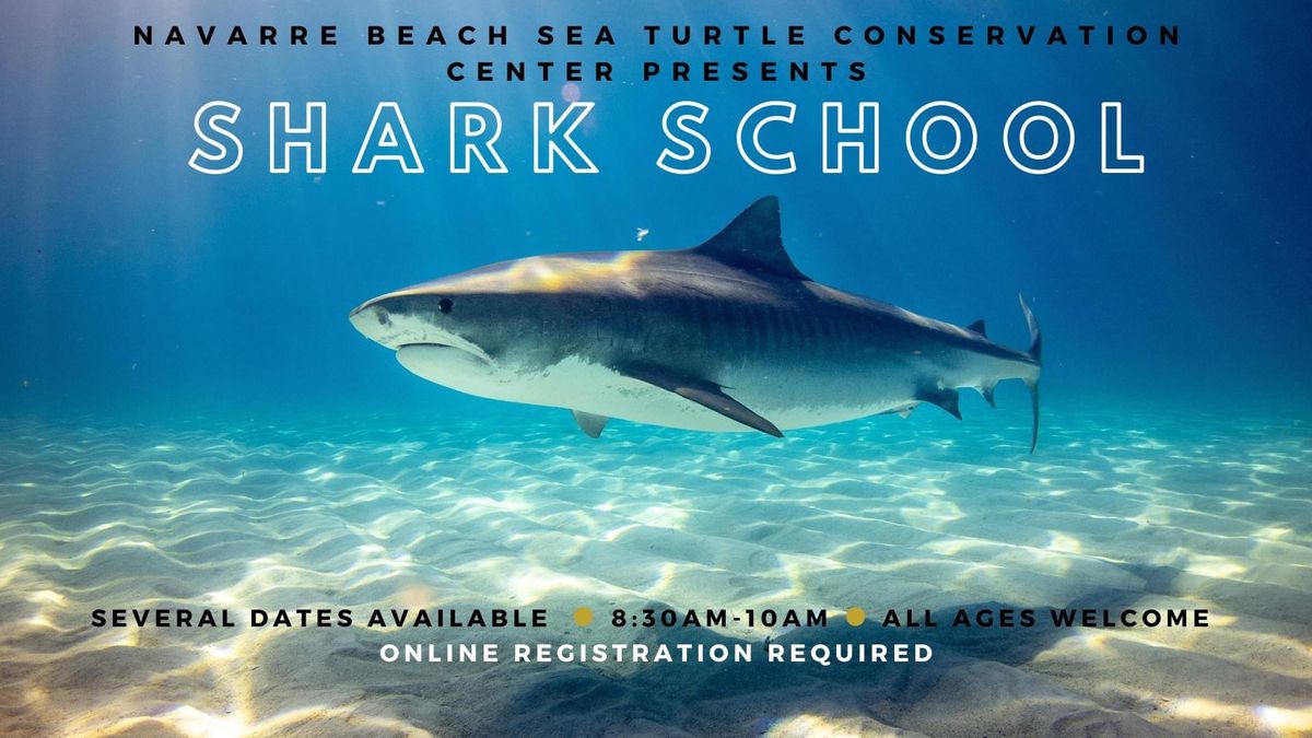 NBSTCC Shark School