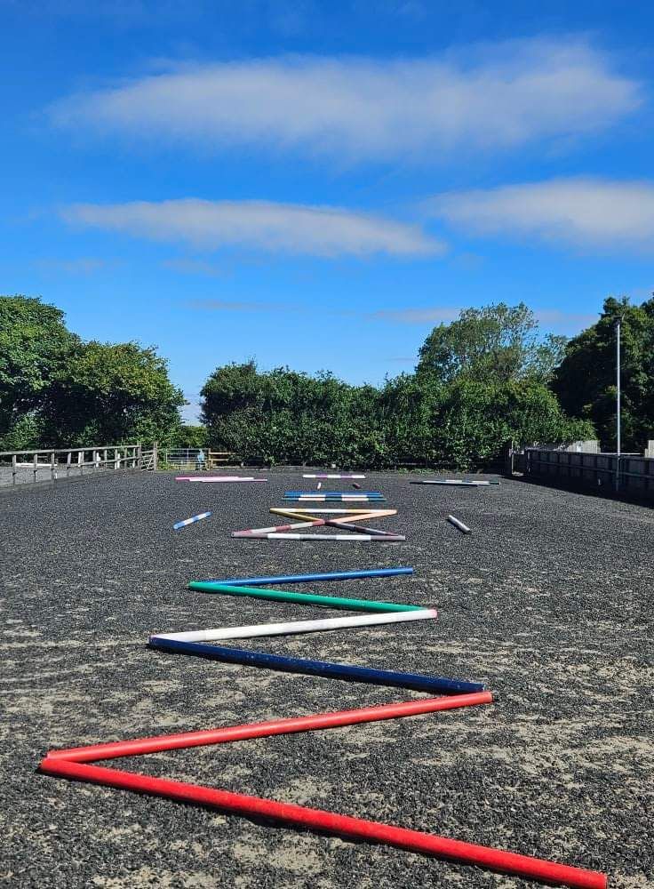 Amersham Dressage Pole Clinic with Jack Boarder