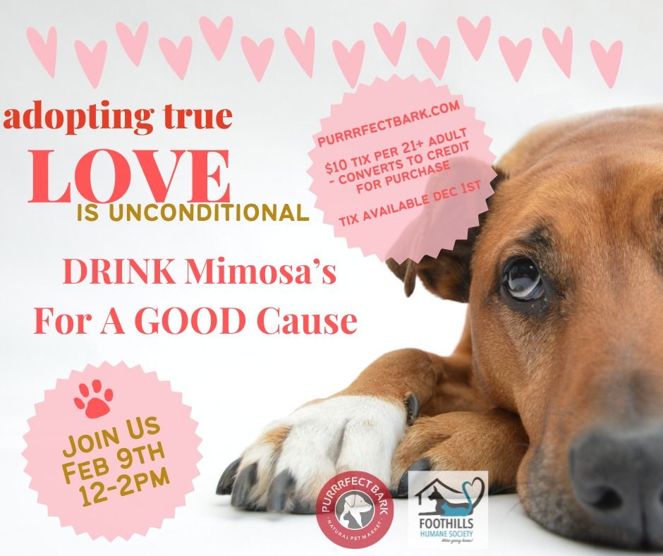 Mimosa's For A Cause