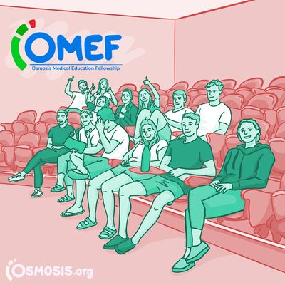 Osmosis Medical Education Fellowship Program