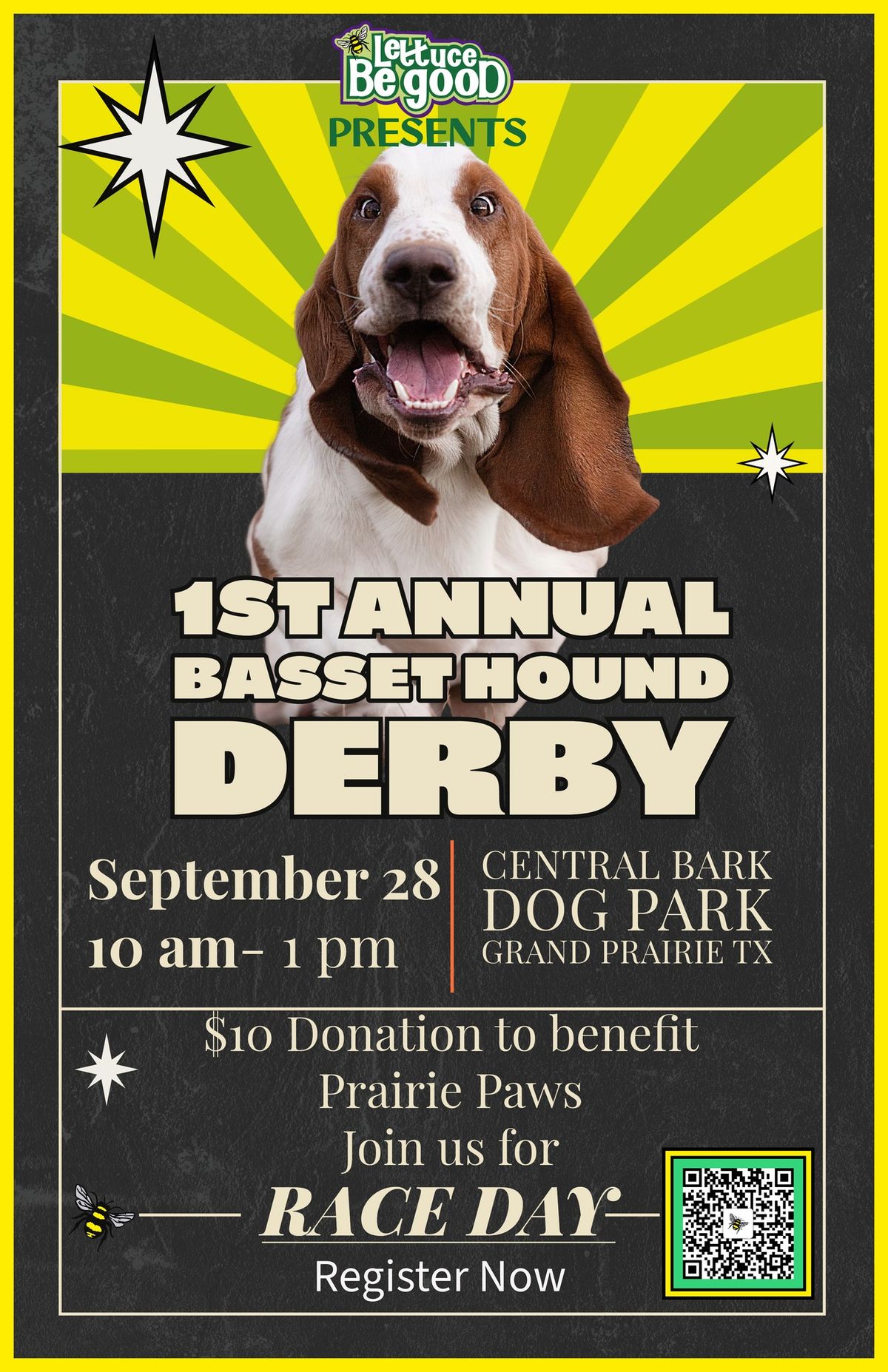 Basset Hound Derby