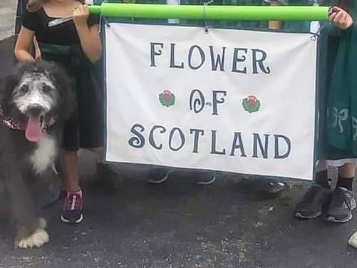 Flower O' Scotland Dance Troupe Demonstration