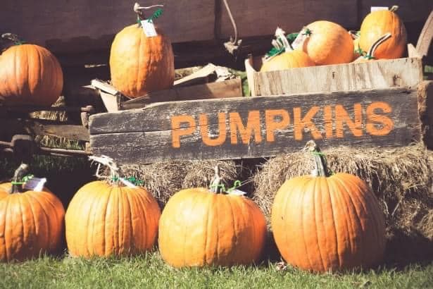 Pumpkin carving & Halloween Crafts