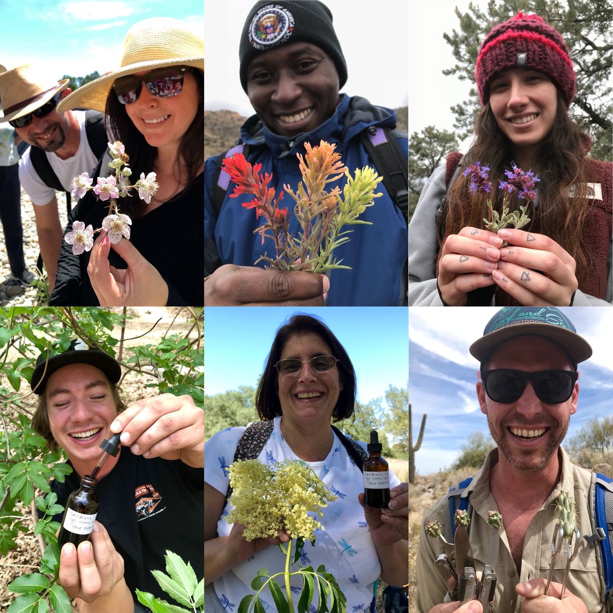 Edible & Medicinal Plants of Los Angeles County: Herb Walk