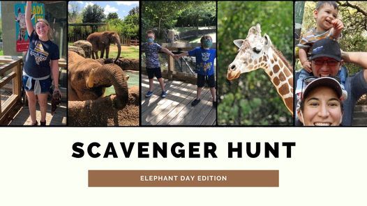 Scavenger Hunt Elephant Day