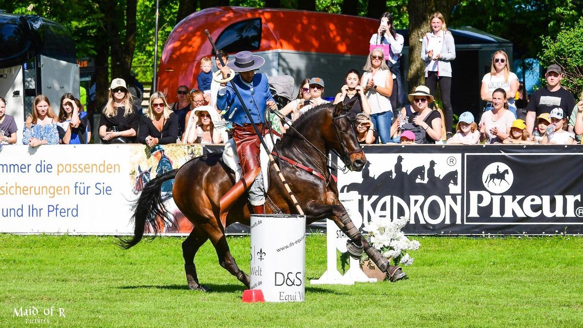 Victor M. Richarte Working Equitation kurzus