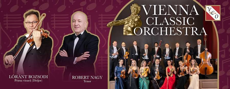 Vienna Classic Orchestra - Bacau