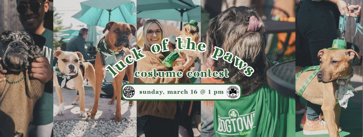 Luck of the Paws Costume Contest