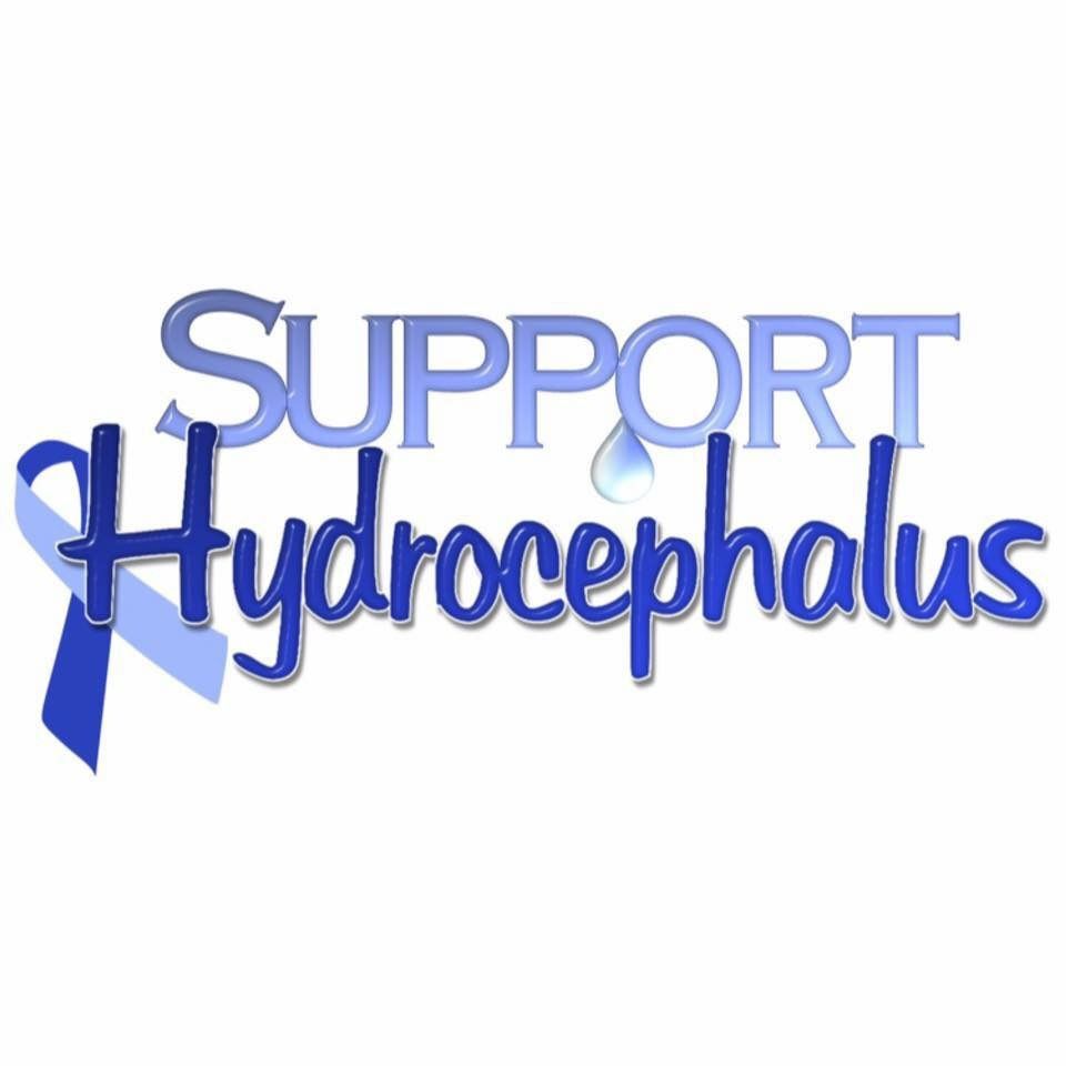 Hydrocephalus Walk 