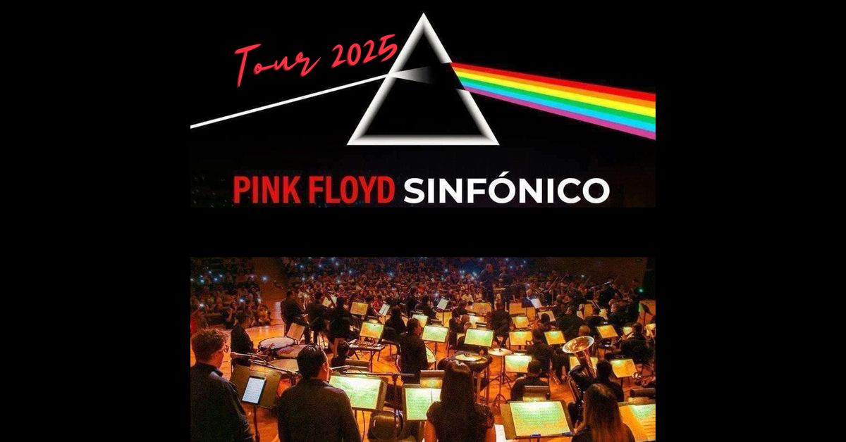 PINK FLOYD SINF\u00d3NICO