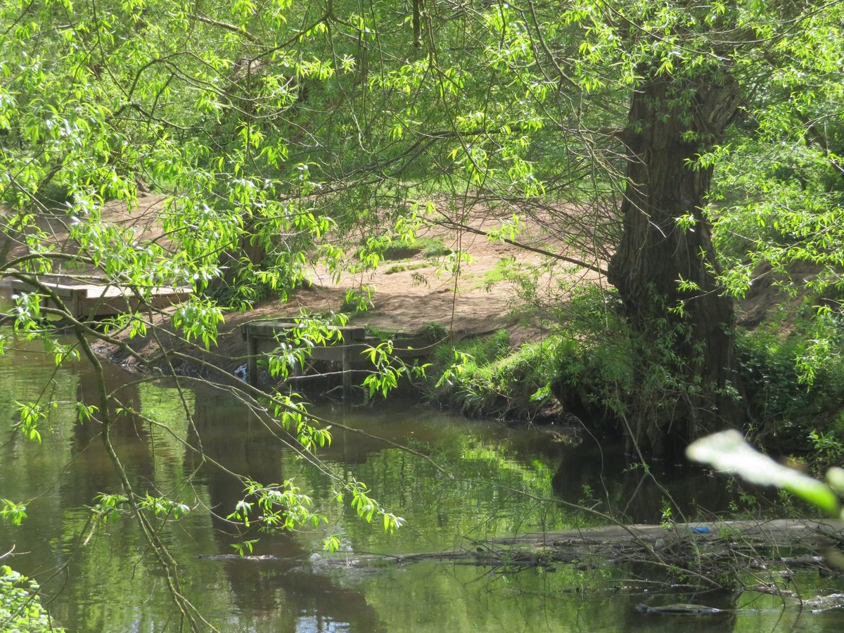 Guided Riverside Walking Tour